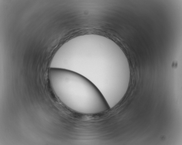 X0000113100613200908280953