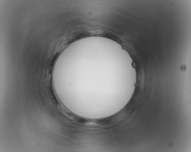 X0000113100614200908280953