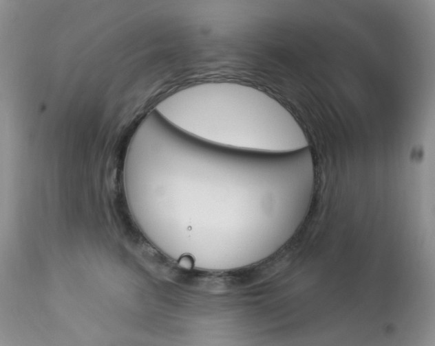 X0000113100615200908280953