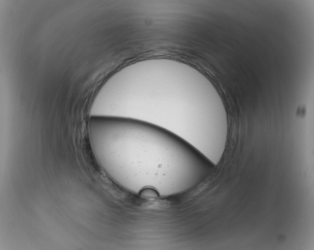 X0000113100617200908280953