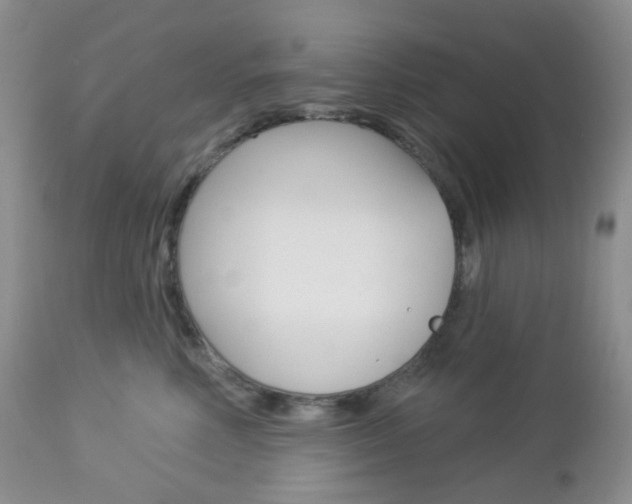 X0000113100618200908280953