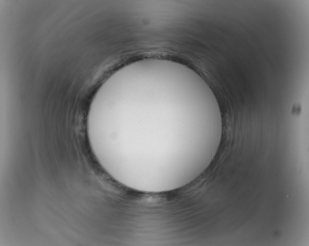 X0000113100619200908280953