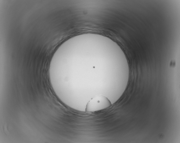X0000113100621200908280953
