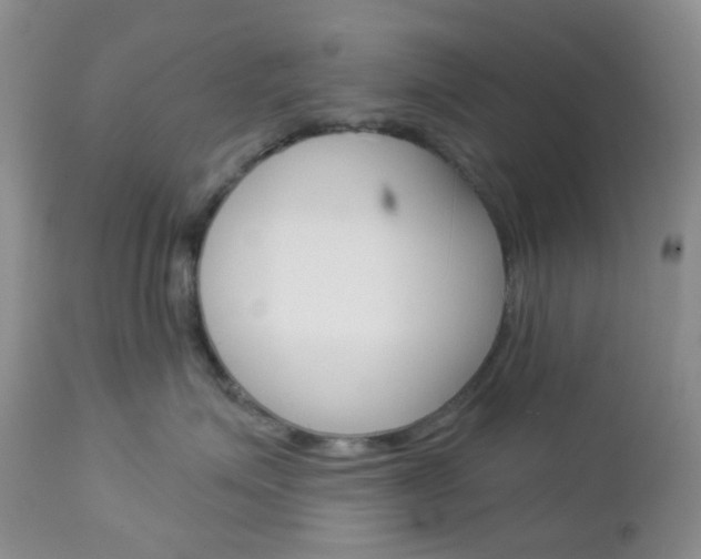 X0000113100623200908280953