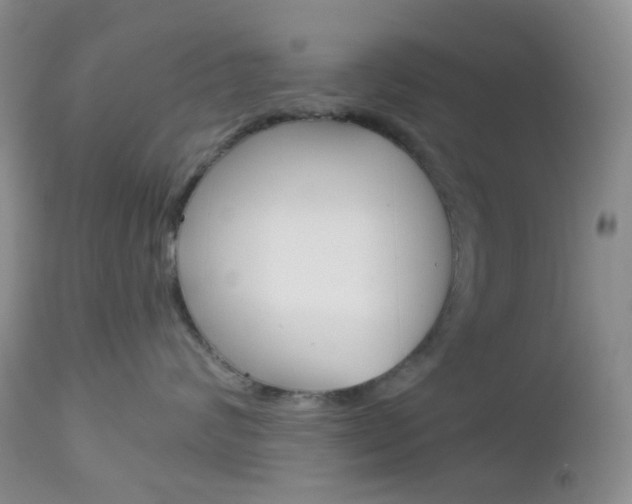 X0000113100624200908280953