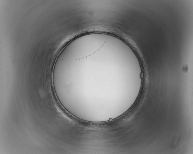 X0000113100625200908280952