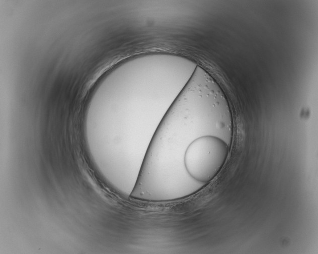 X0000113100626200908280952