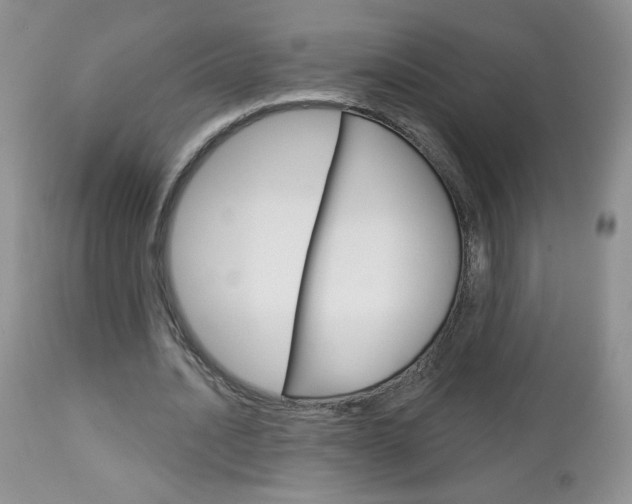 X0000113100628200908280952