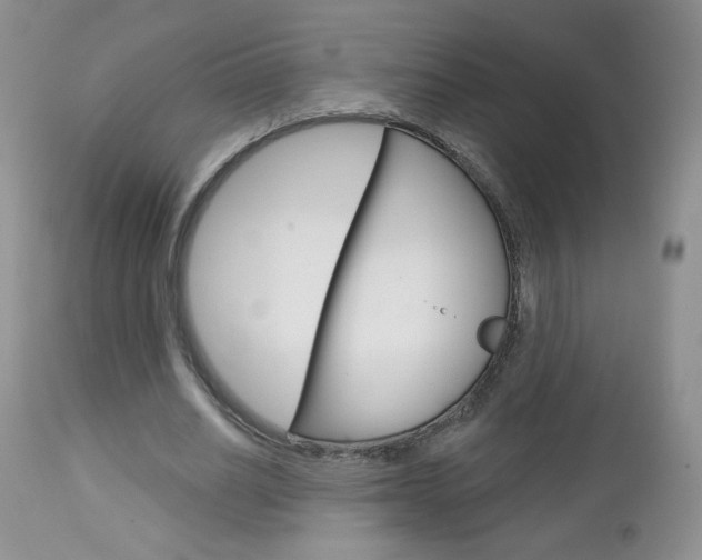 X0000113100630200908280952