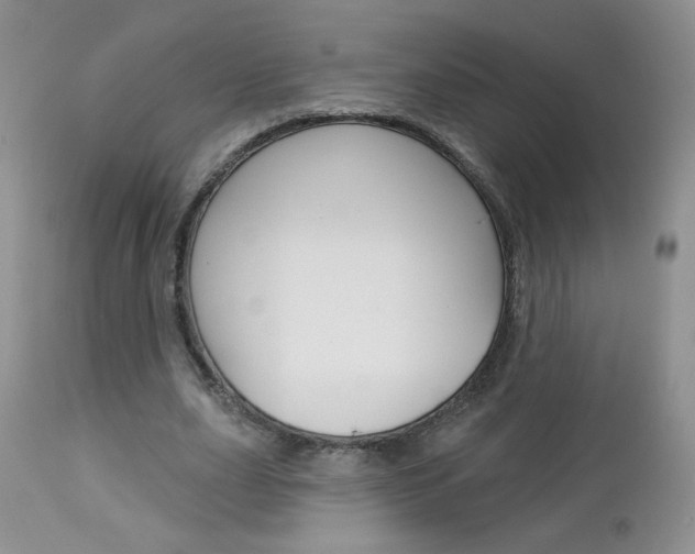 X0000113100631200908280952