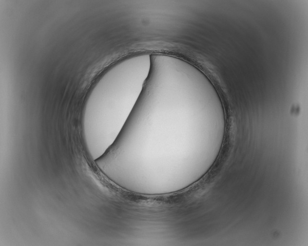 X0000113100633200908280952