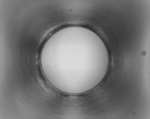 X0000113100636200908280953
