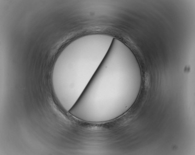 X0000113100637200908280953