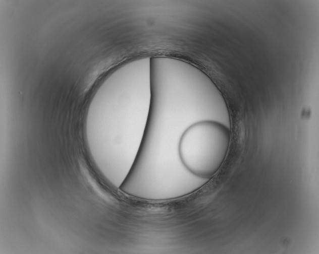 X0000113100638200908280953