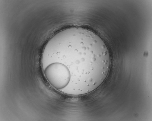 X0000113100639200908280953