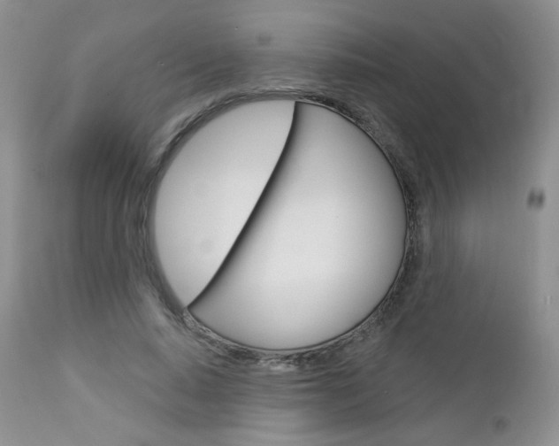 X0000113100640200908280953