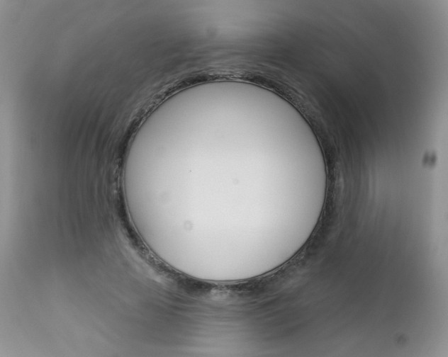 X0000113100641200908280953
