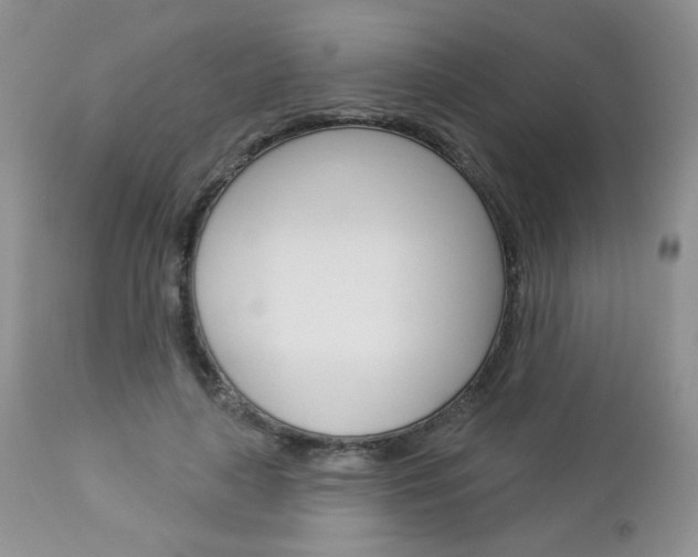 X0000113100643200908280953