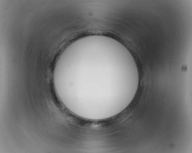 X0000113100647200908280953