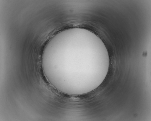 X0000113100650200908280953