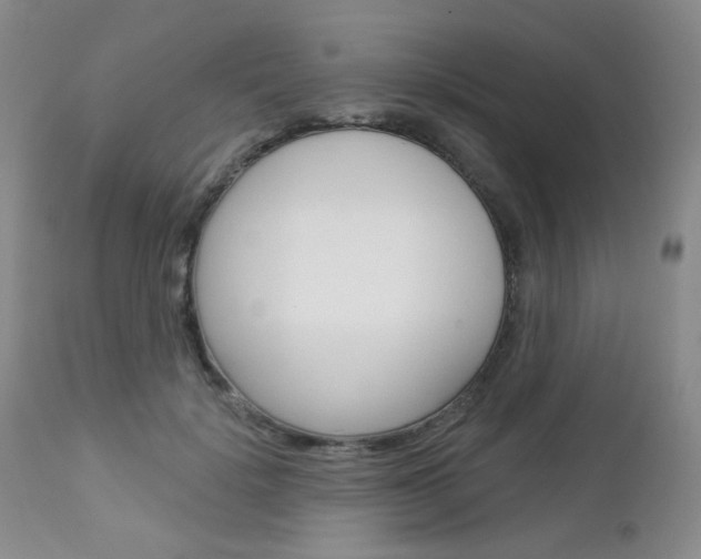 X0000113100652200908280953