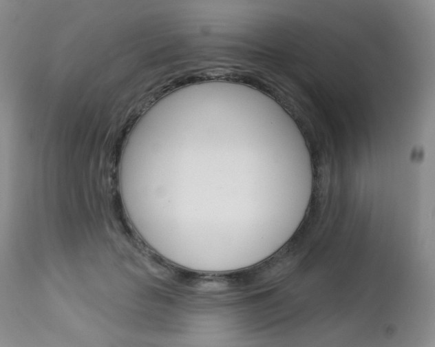 X0000113100653200908280953