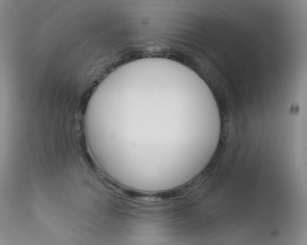 X0000113100654200908280953