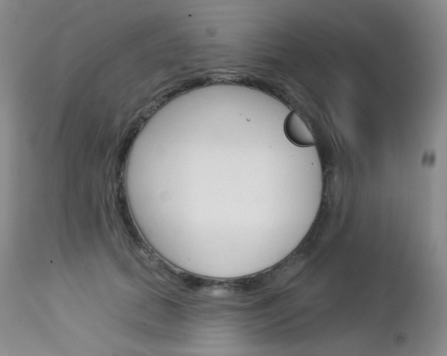 X0000113100655200908280953
