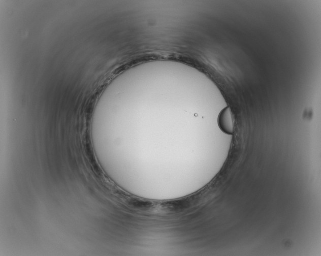 X0000113100656200908280953