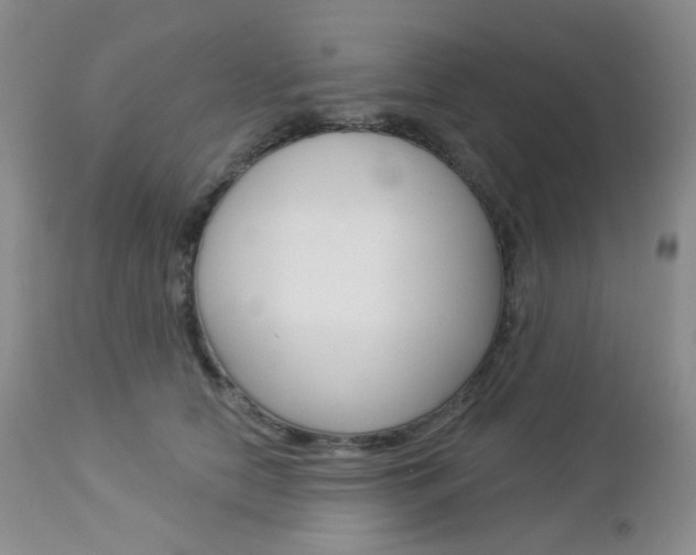 X0000113100658200908280953
