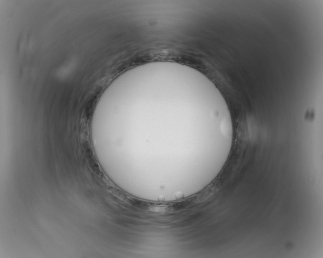 X0000113100659200908280953