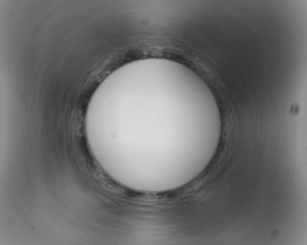 X0000113100661200908280953