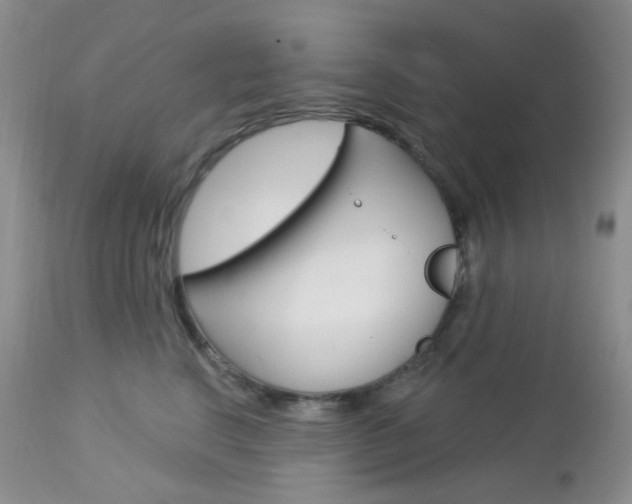X0000113100664200908280953
