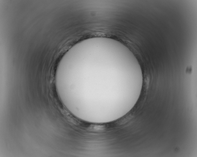X0000113100665200908280953
