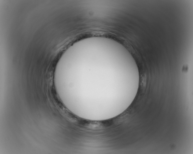 X0000113100666200908280953