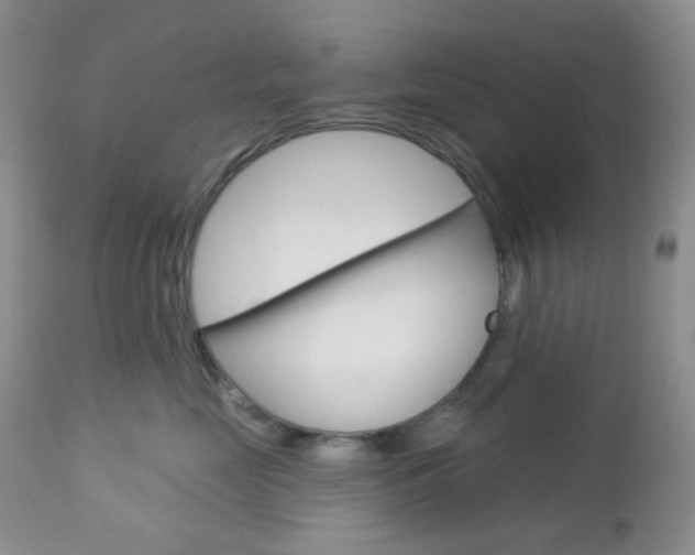 X0000113100669200908280953