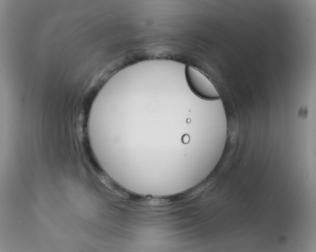 X0000113100670200908280953