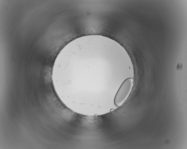 X0000113100672200908280953