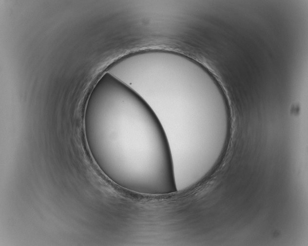 X0000113100673200908280952