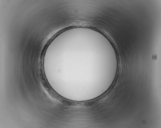 X0000113100674200908280952