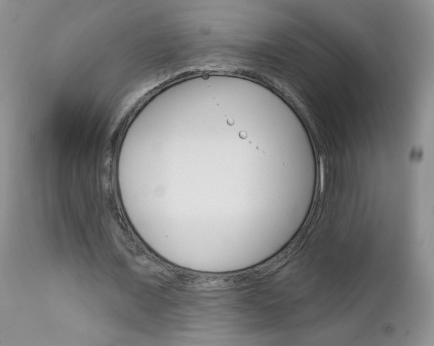 X0000113100675200908280952
