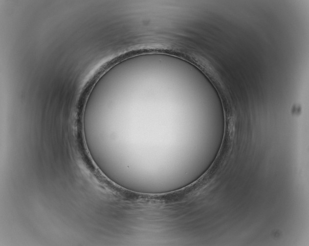 X0000113100676200908280952