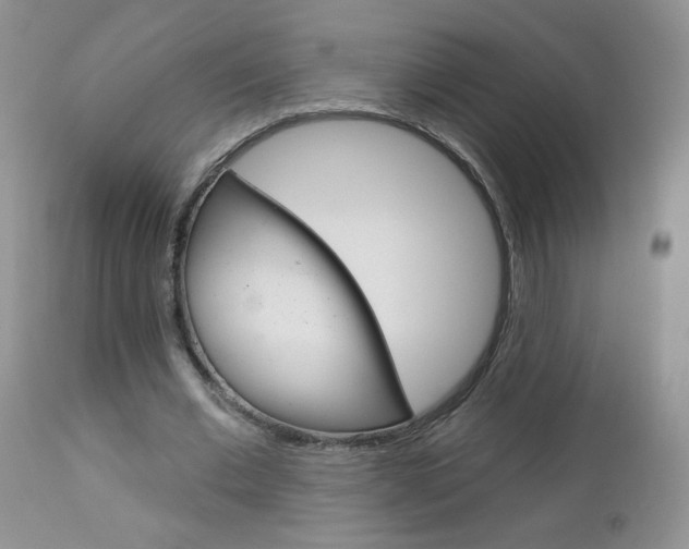 X0000113100677200908280952