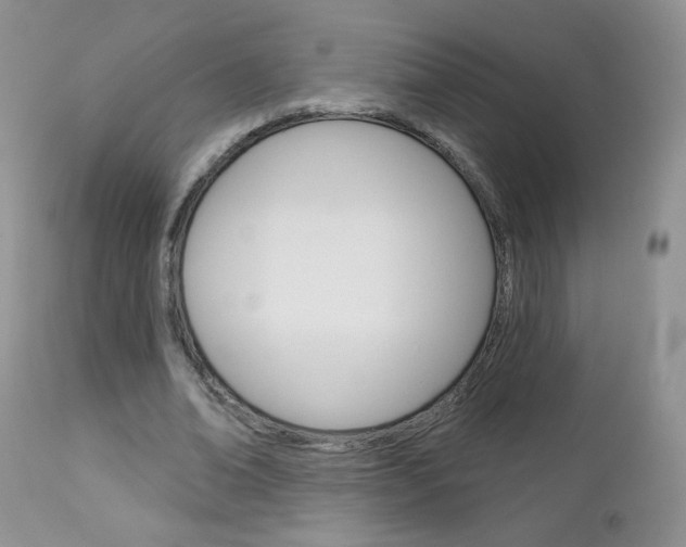 X0000113100678200908280952