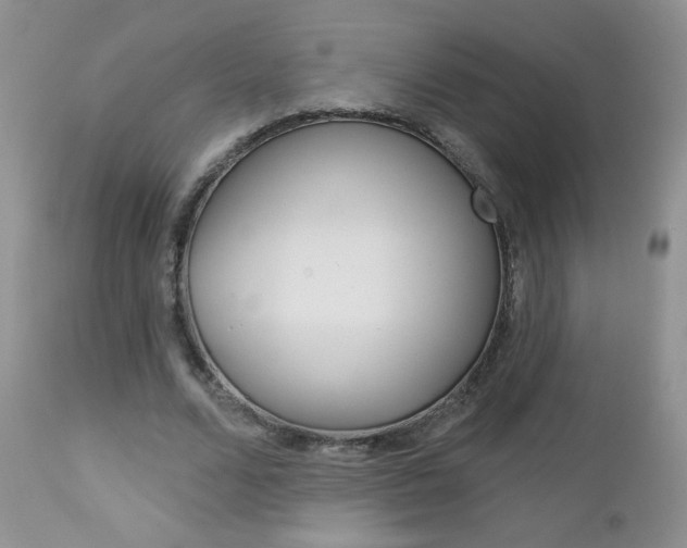 X0000113100680200908280952