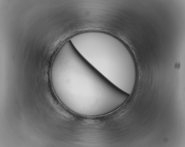 X0000113100681200908280952