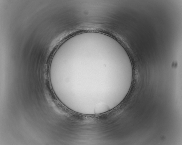 X0000113100682200908280952