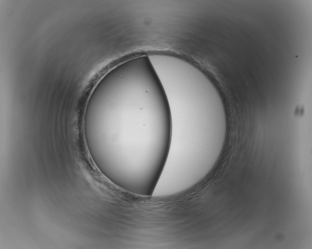 X0000113100684200908280952