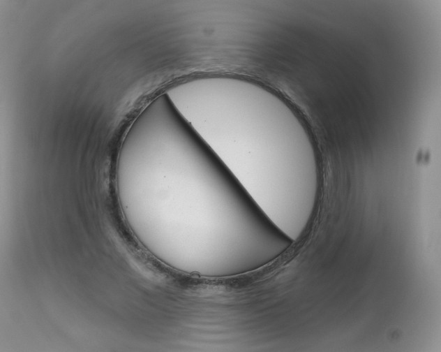 X0000113100685200908280952