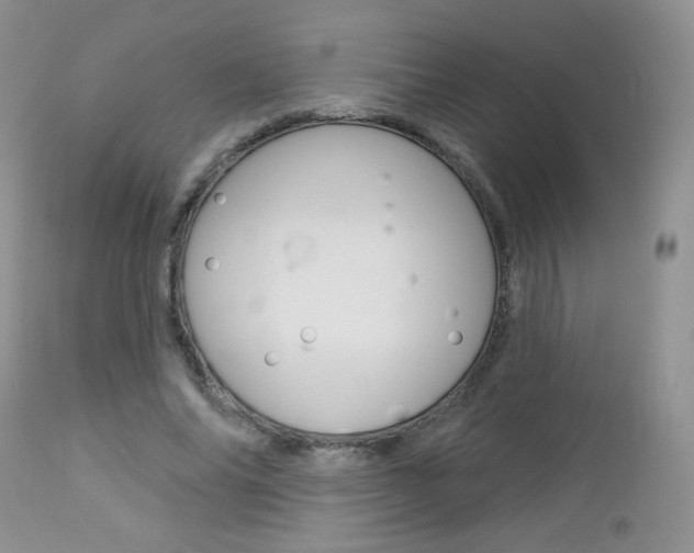 X0000113100686200908280952